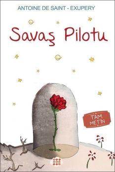 Savaş Pilotu