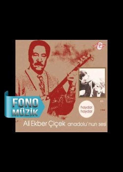 Ali Ekber Çiçek - Unutursun (Official Audio)
