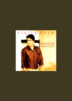 Yıkılmadım