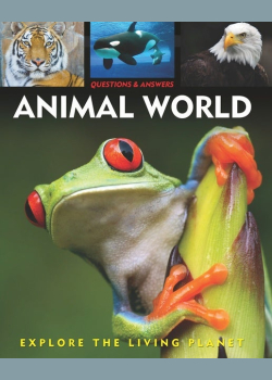 Questions and Answers about: Animal World
