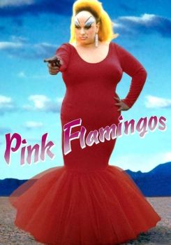 Pembe Flamingolar