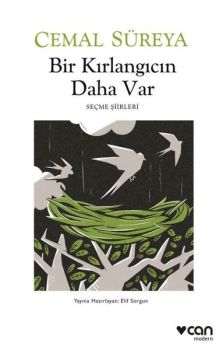 Bir Kırlangıcın Daha Var - Seçme Şiirleri