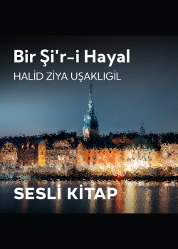 Bir Şi'r-i Hayal