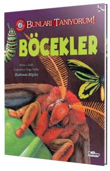 Böcekler - Bunları Tanıyorum!