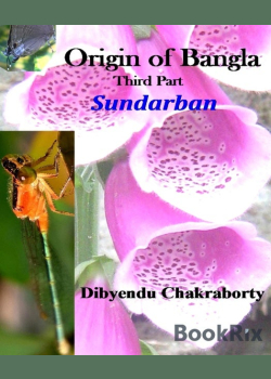 Origin of Bangla Third Part Sundarban