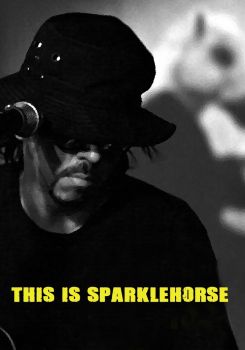 This Is Sparklehorse