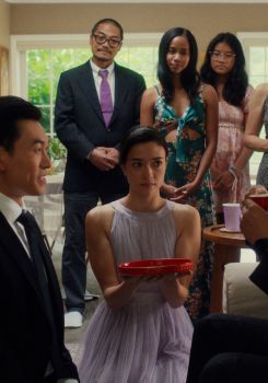 Collisions & Damages