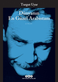 Dünyanın En Güzel Arabistanı
