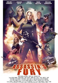Assassin's Fury