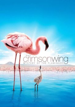 The Crimson Wing: Mystery of the Flamingos