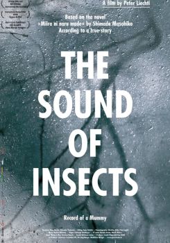 The Sound of Insects: Record of a Mummy