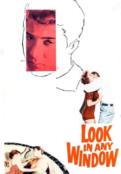 Look in Any Window