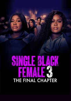 Single Black Female 3: The Final Chapter