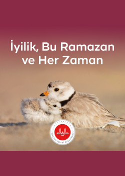 İyilik: Bu Ramazan ve Her Zaman