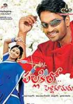 Pallakilo Pellikuthuru