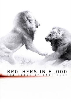 Brothers in Blood: The Lions of Sabi Sand