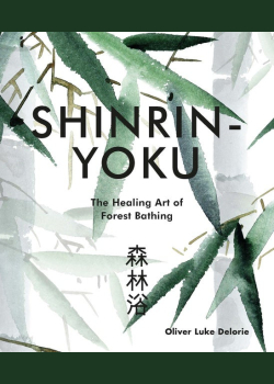 Shinrin-yoku: The Healing Art of Forest Bathing