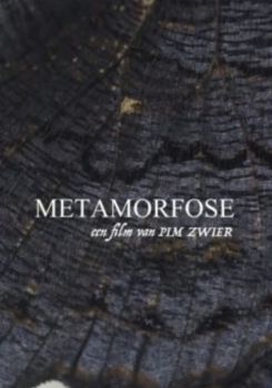 Metamorphosis