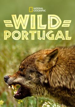 Vahşi Portekiz