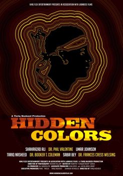 Hidden Colors