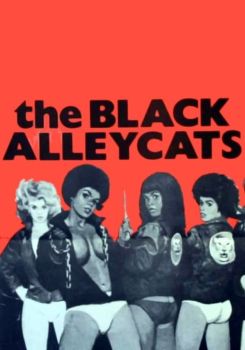 The Black Alley Cats