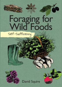 Foraging for Wild Foods