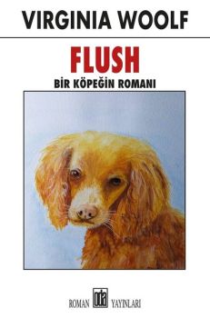 Flush