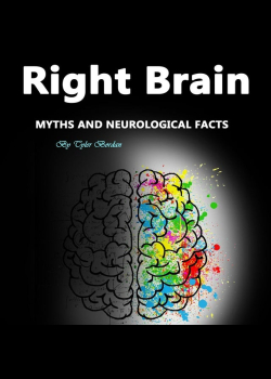 Right Brain: Myths and Neurological Facts