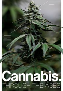 Cannabis: Through the Ages