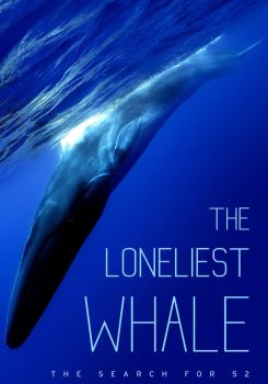 The Loneliest Whale: The Search for 52