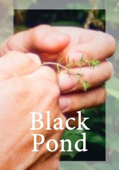 Black Pond