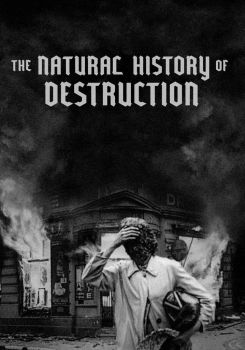 The Natural History of Destruction
