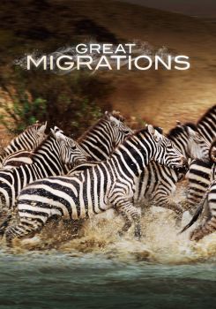 Great Migrations