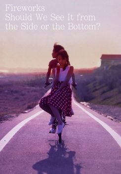 Fireworks, Should We See It from the Side or the Bottom?