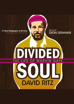 Divided Soul: The Life of Marvin Gaye