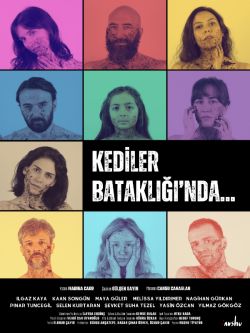 Kediler Bataklığı'nda