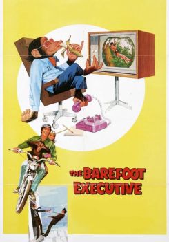 The Barefoot Executive