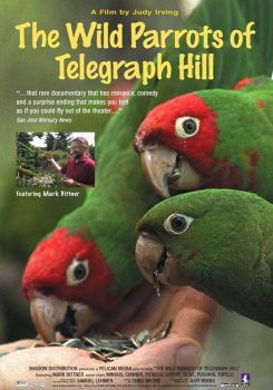 The Wild Parrots of Telegraph Hill