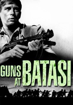 Guns at Batasi