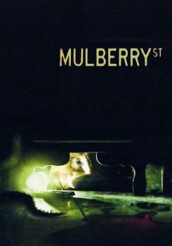 Mulberry Sokağı