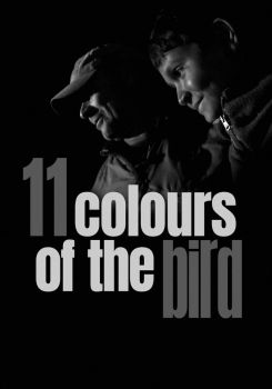 11 Colours of the Bird