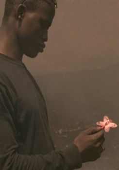 Waste no.6 How Great