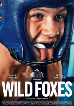 Wild Foxes