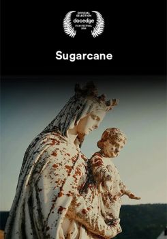 Sugarcane