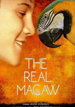 The Real Macaw