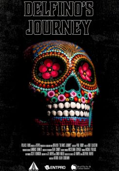 Delfino's Journey