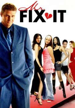 Mr. Fix It