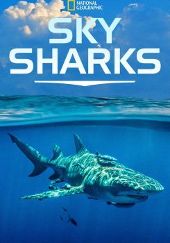 Gökyüzünden Köpekbalıkları