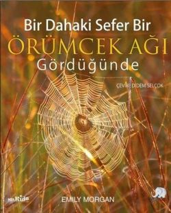 Bir Dahaki Sefer Bir Örümcek Ağı Gördüğünde