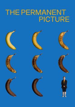 The Permanent Picture